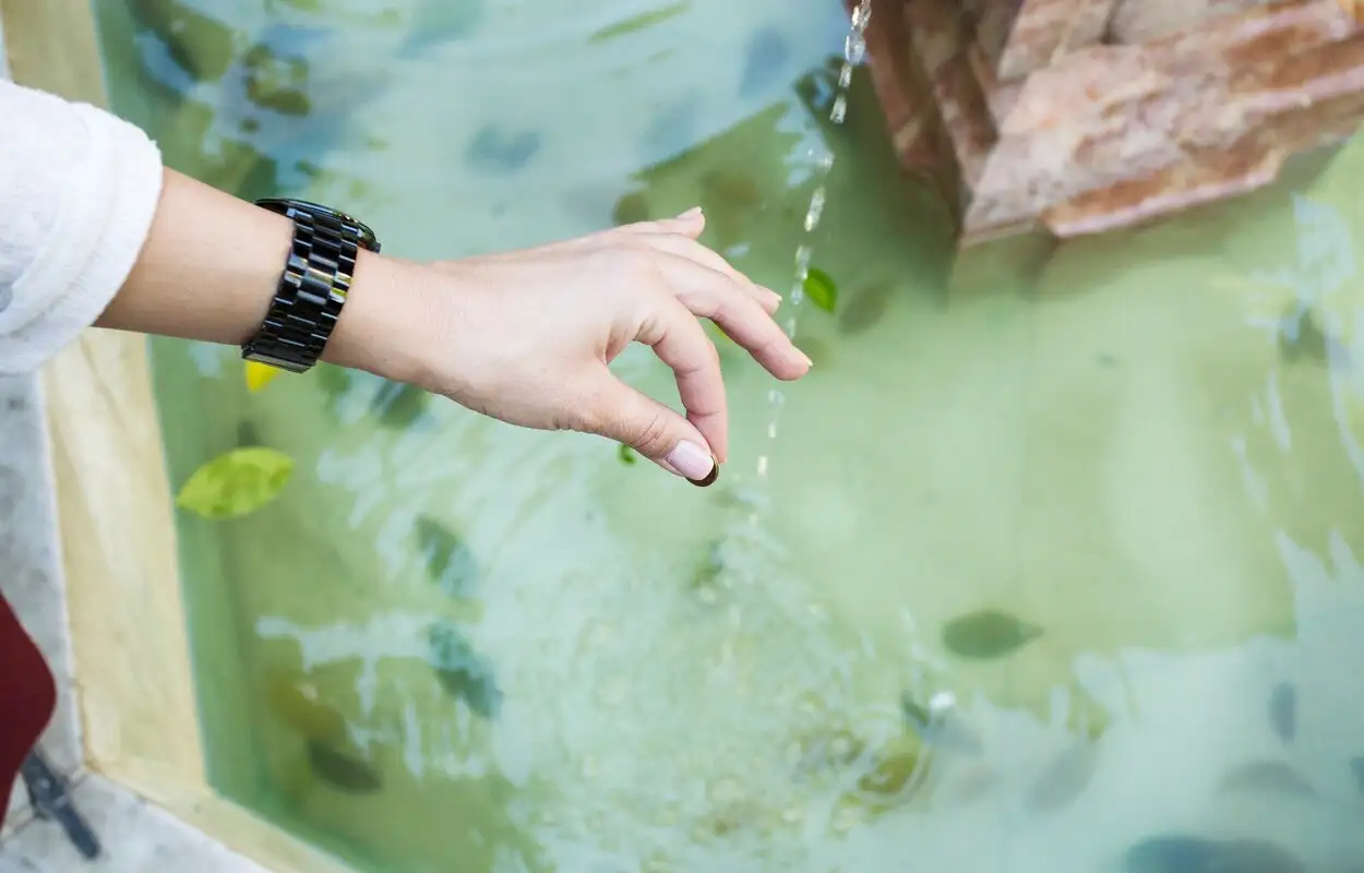 Pond cleaning